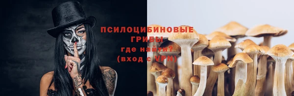 spice Надым